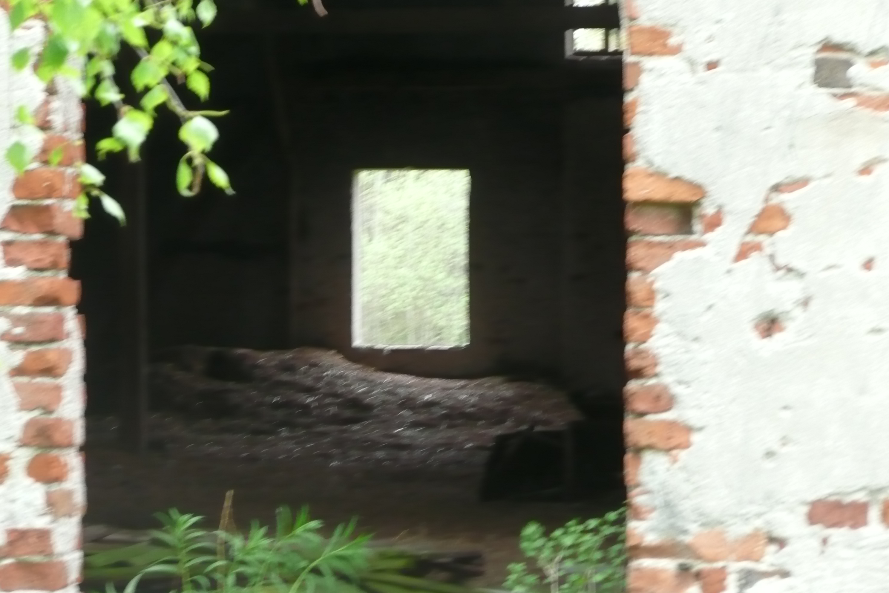 P1050550.JPG